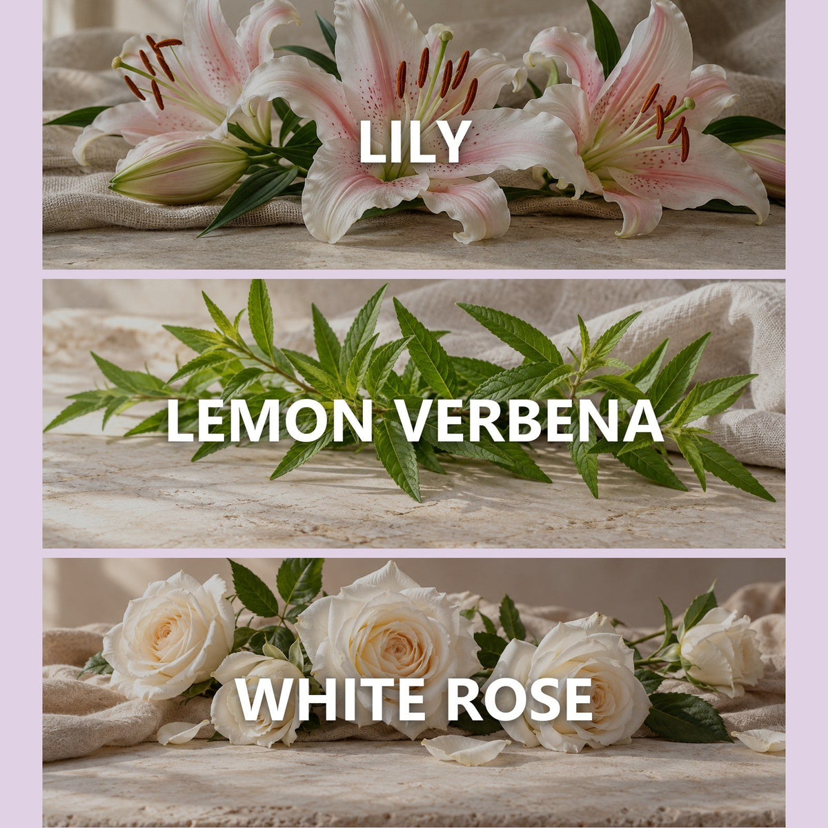 Asian Lily scent notes