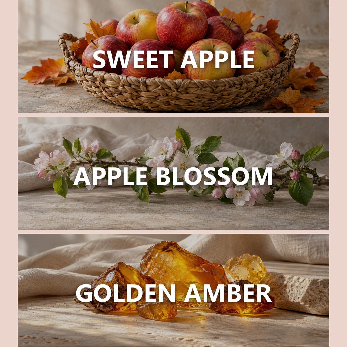 Harvest Apple scent notes: sweet apple, apple blossom, golden amber