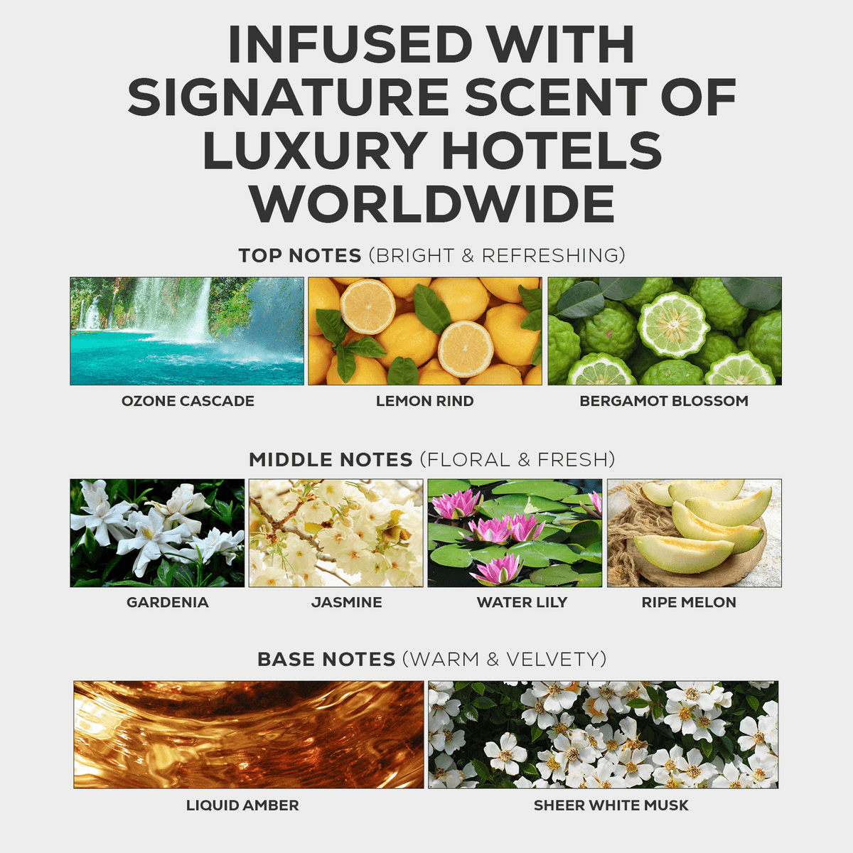 Fragrance profile of Luxury Hotel scent with ozone cascade, lemon rind, gardenia, jasmine, liquid amber, and sheer white musk