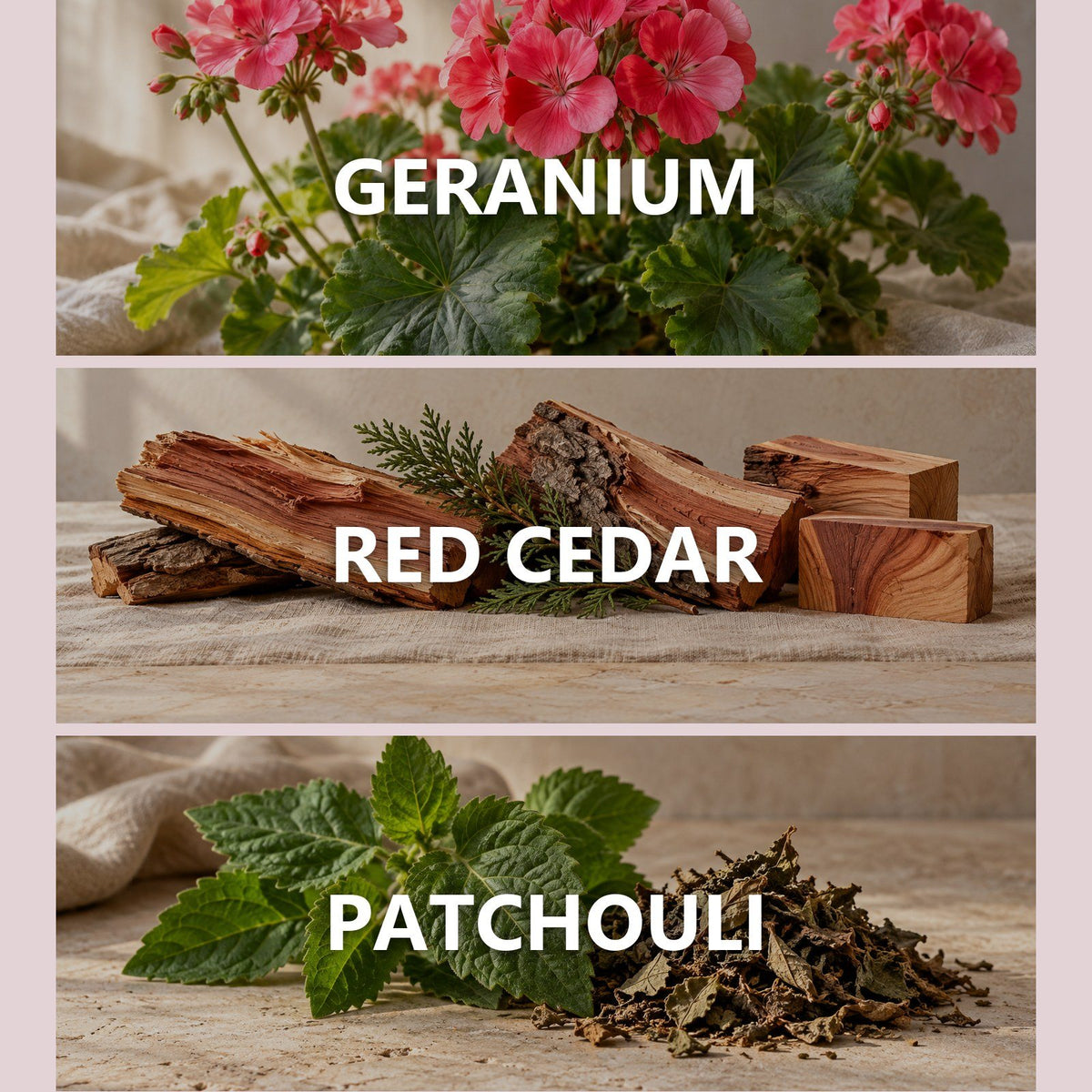 Belvoir Blvd scent notes