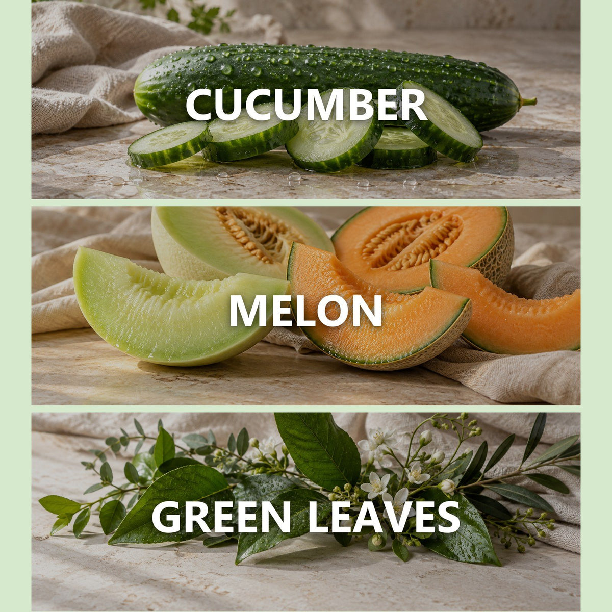 Cucumber Melon scent notes