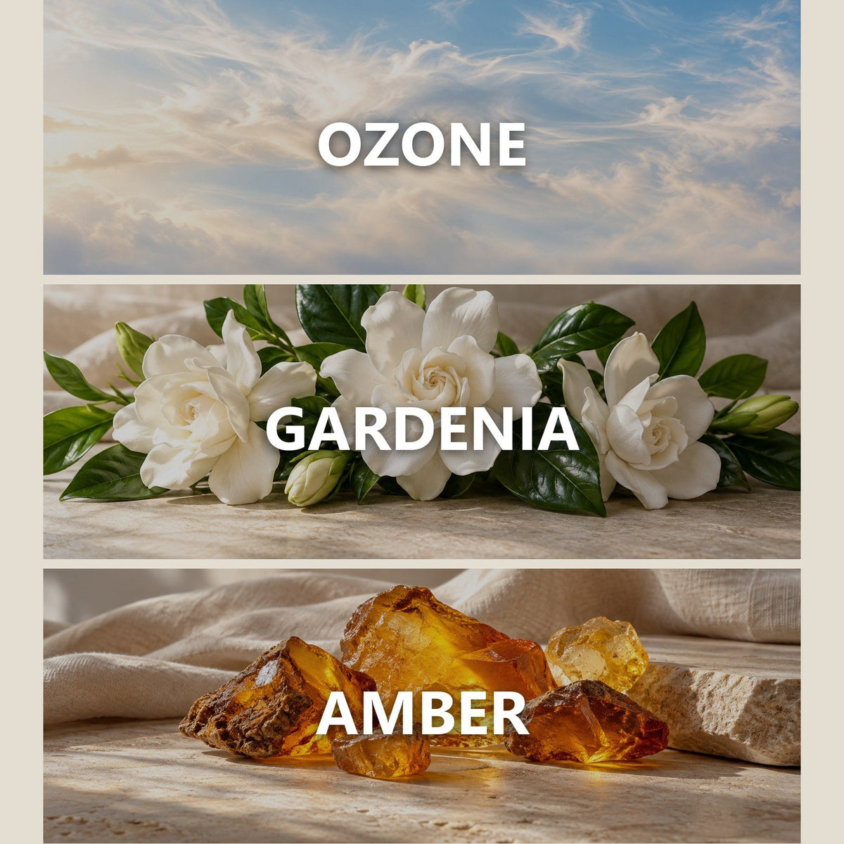 Luxury Hotel scent notes
