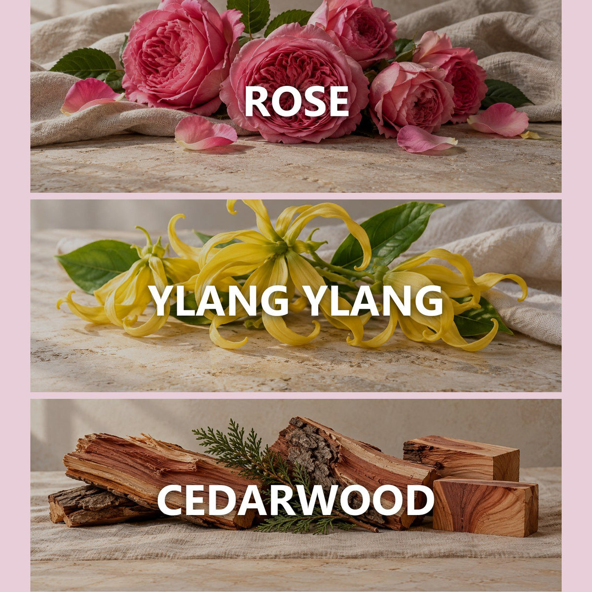 Rose Garden scent notes