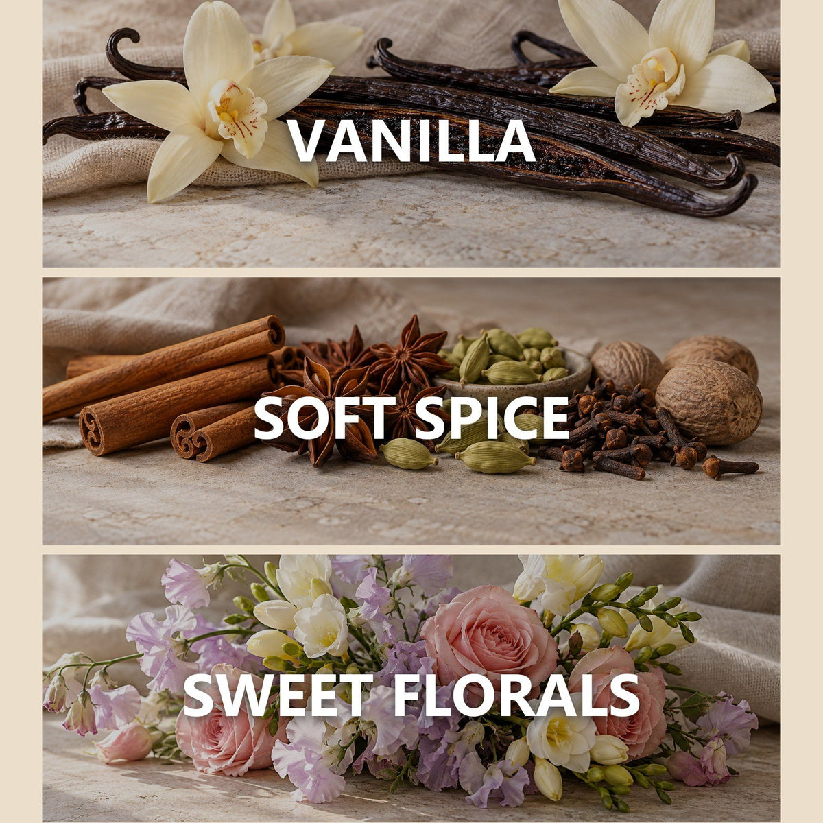 Whipped Vanilla scent notes